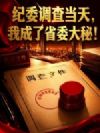 纪委调查当天,我成了省委大秘